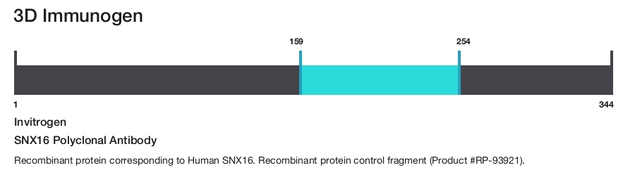 SNX16 Polyclonal Antibody