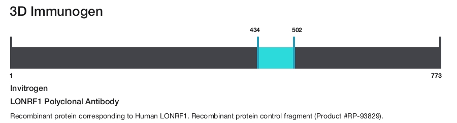 LONRF1 Polyclonal Antibody