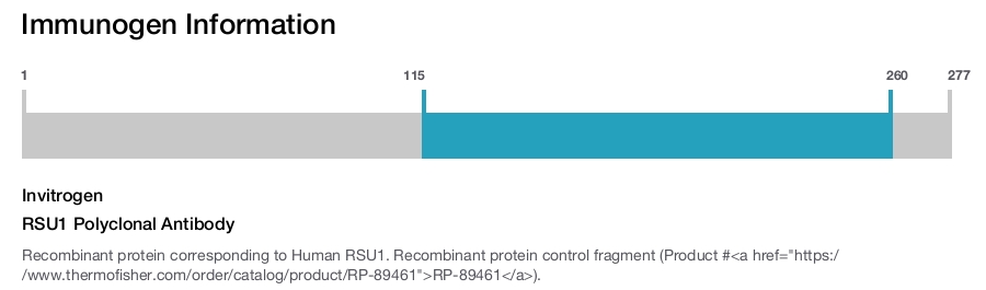RSU1 Polyclonal Antibody