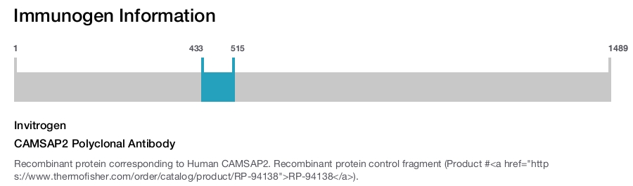 CAMSAP2 Polyclonal Antibody