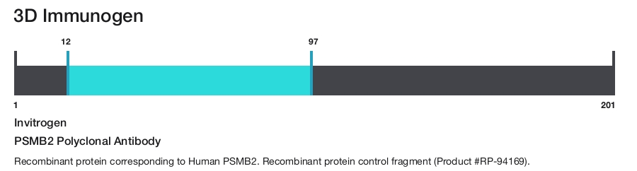 PSMB2 Polyclonal Antibody