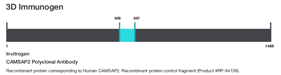 CAMSAP2 Polyclonal Antibody