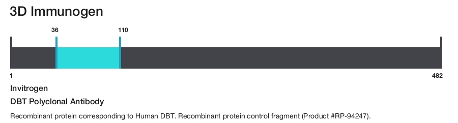 DBT Polyclonal Antibody
