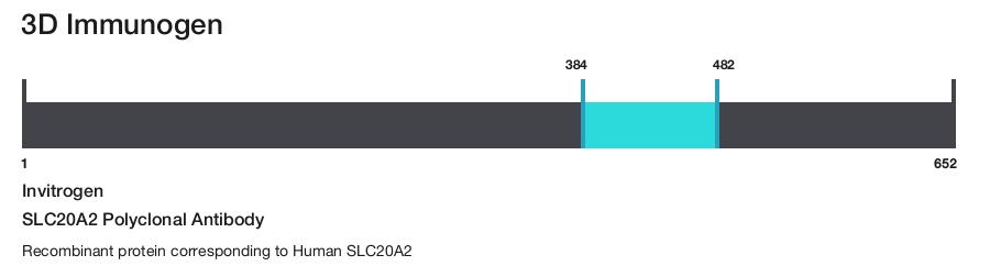 SLC20A2 Polyclonal Antibody