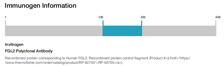 FGL2 Polyclonal Antibody