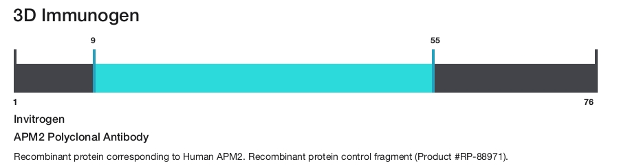 APM2 Polyclonal Antibody