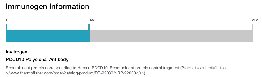 PDCD10 Polyclonal Antibody
