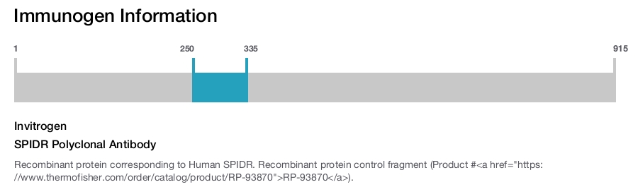 SPIDR Polyclonal Antibody