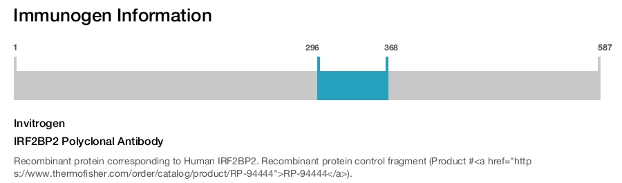 IRF2BP2 Polyclonal Antibody