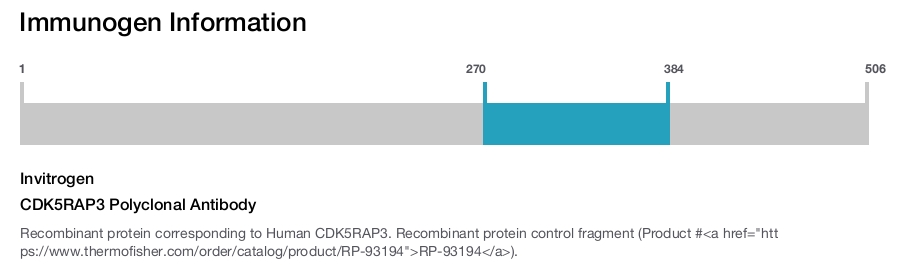 CDK5RAP3 Polyclonal Antibody