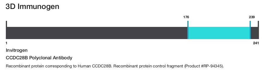 CCDC28B Polyclonal Antibody