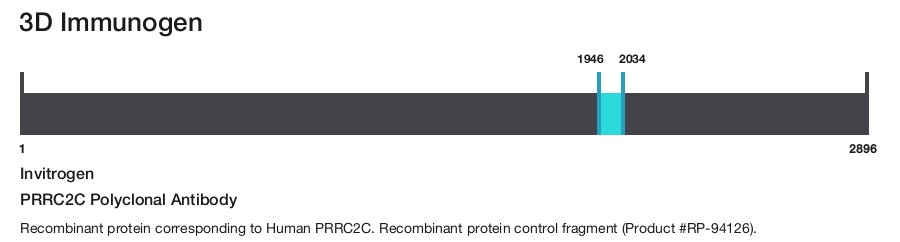 PRRC2C Polyclonal Antibody