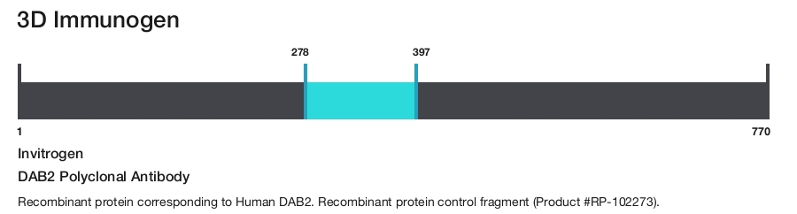 DAB2 Polyclonal Antibody