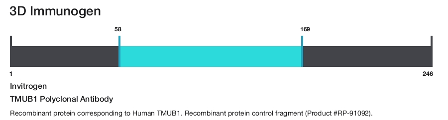 TMUB1 Polyclonal Antibody