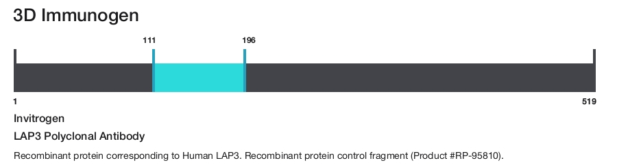 LAP3 Polyclonal Antibody