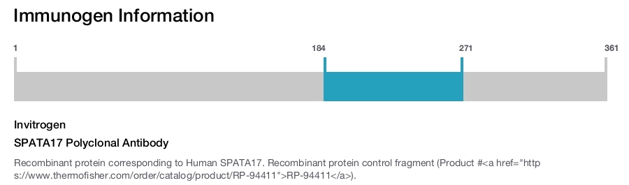 SPATA17 Polyclonal Antibody