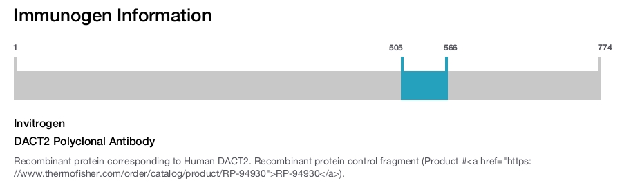 DACT2 Polyclonal Antibody