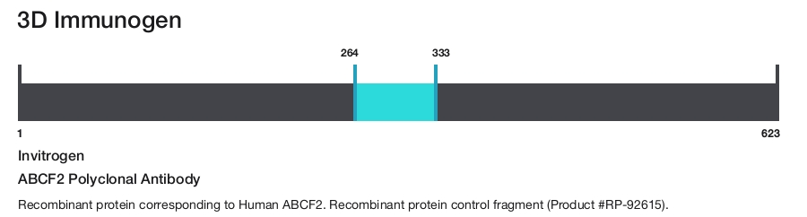 ABCF2 Polyclonal Antibody