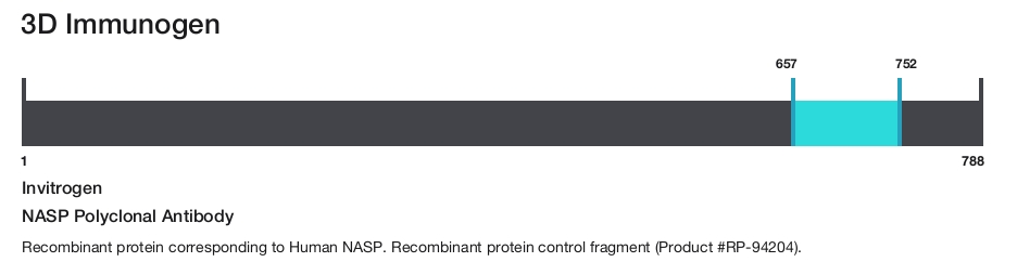 NASP Polyclonal Antibody