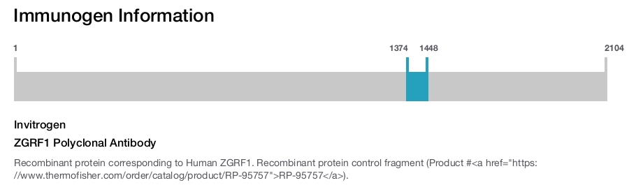 ZGRF1 Polyclonal Antibody