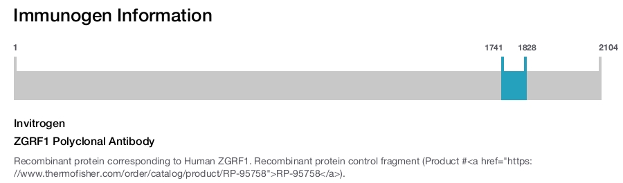 ZGRF1 Polyclonal Antibody