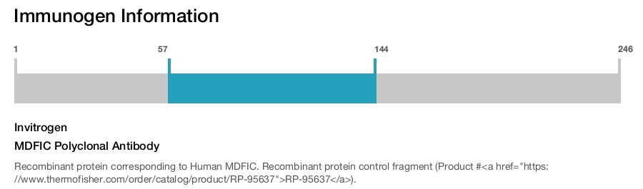 MDFIC Polyclonal Antibody