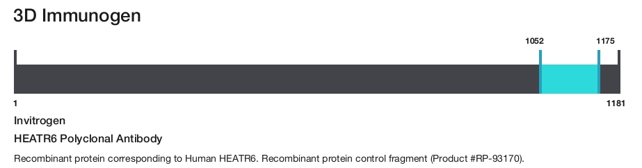 HEATR6 Polyclonal Antibody