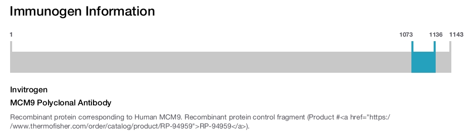 MCM9 Polyclonal Antibody