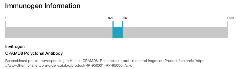 CPAMD8 Polyclonal Antibody