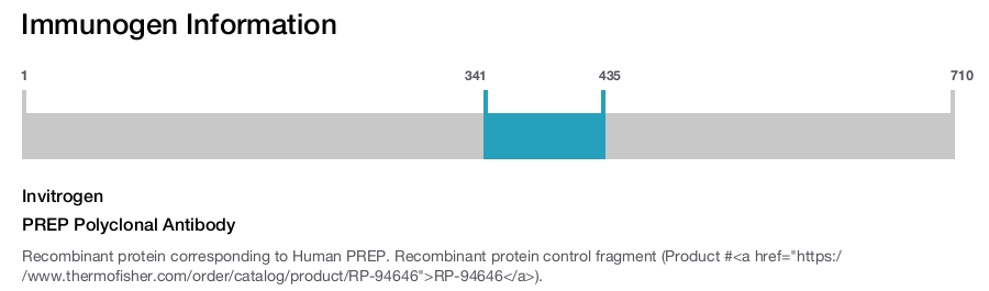 PREP Polyclonal Antibody