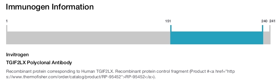 TGIF2LX Polyclonal Antibody