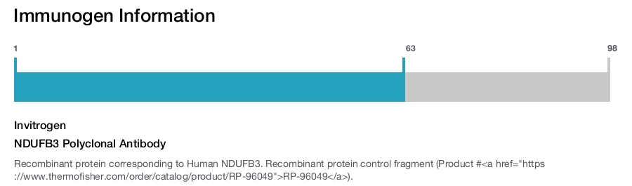 NDUFB3 Polyclonal Antibody
