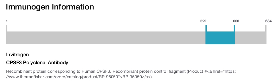 CPSF3 Polyclonal Antibody