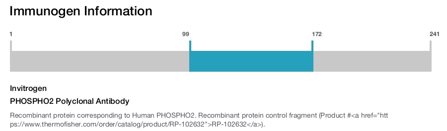 PHOSPHO2 Polyclonal Antibody