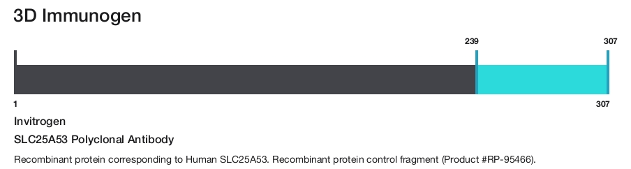 SLC25A53 Polyclonal Antibody