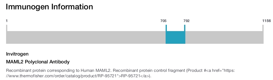 MAML2 Polyclonal Antibody