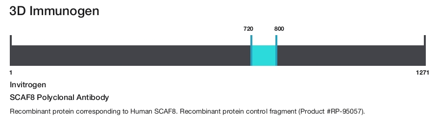 SCAF8 Polyclonal Antibody