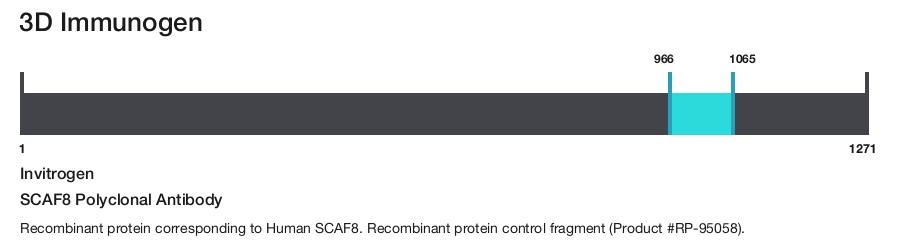 SCAF8 Polyclonal Antibody