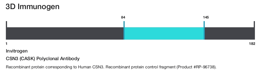 CSN3 (CASK) Polyclonal Antibody