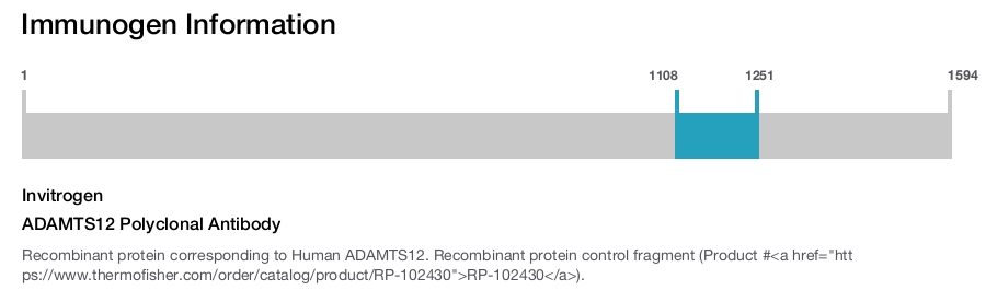 ADAMTS12 Polyclonal Antibody