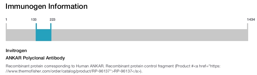 ANKAR Polyclonal Antibody