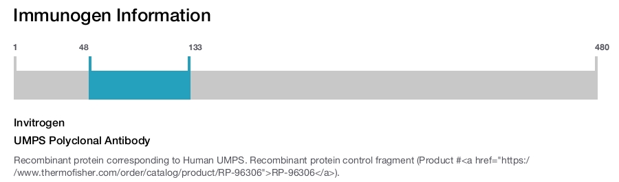 UMPS Polyclonal Antibody