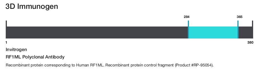 RF1ML Polyclonal Antibody
