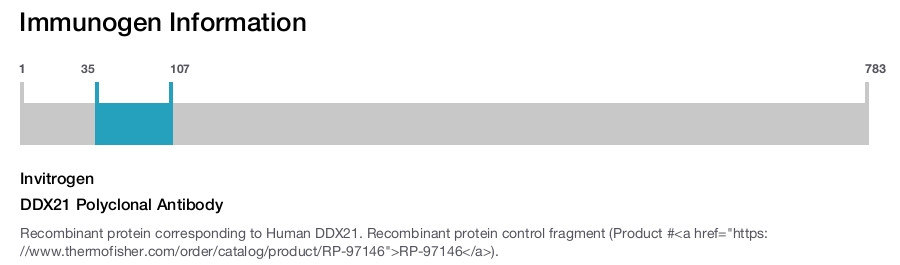 DDX21 Polyclonal Antibody