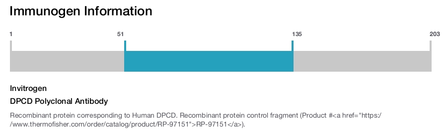 DPCD Polyclonal Antibody