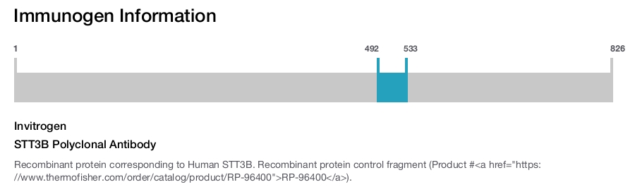 STT3B Polyclonal Antibody