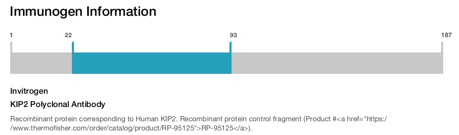 KIP2 Polyclonal Antibody
