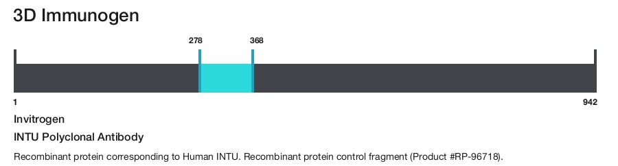 INTU Polyclonal Antibody