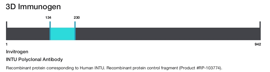 INTU Polyclonal Antibody