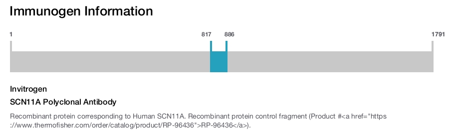 SCN11A Polyclonal Antibody